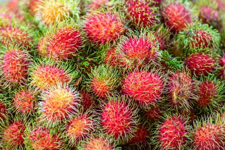 Close up many red rambutan in blue basket. rambutan sweet delicious fruit.background of fresh Thai rambutans. red and green.の写真素材