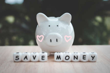 Dice the word "SAVE MONEY" and piggy bank money save coins.   Block of alphabet studded on wooden background. money investment concept. Savings. Copy space.の写真素材