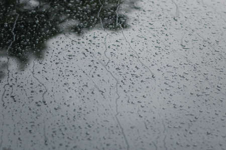 Rain on the surface of the window Stop and flow into the rain. With cloudy backgrounds, natural patterns of isolated raindrops. black and white background.の写真素材