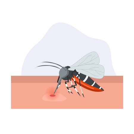 A  cartoon illustration of mosquito on human skin sucking blood.のイラスト素材