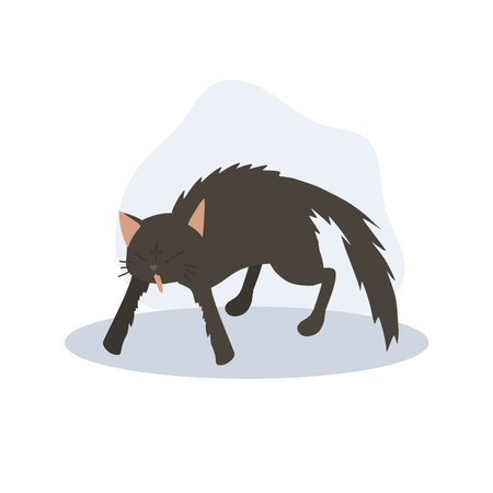 Cat in Aggressive Posture with Fluffed Up Fur. Frightened Cat. Scared Catのイラスト素材