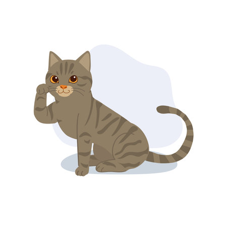 cute domestic tabby cat illustration brown gray american shorthair sitting and cleaning paw animal character for creative design projectsのイラスト素材