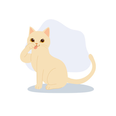 cute cat licking paw. cute beige kitten self grooming. representing cat hygiene and calm pet lifestyleのイラスト素材