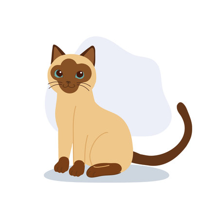 a brown and cream kitten,adorable siamese cat sitting calmly for pet lovers.のイラスト素材