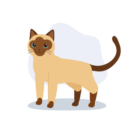 a siamese cat standing. for animal lovers posters and pet store brandingのイラスト素材