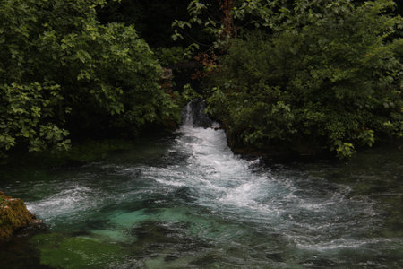 torrentの写真素材