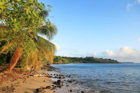 Borgnese Pointe - Martinique - FWI - Caribbeanの写真素材