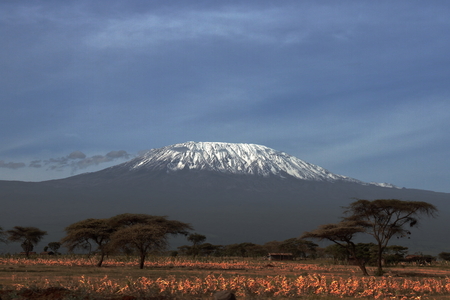 Kilimanjaro - Tanzania - Africaの写真素材
