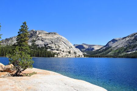 Yosemite Park - Californiaの写真素材