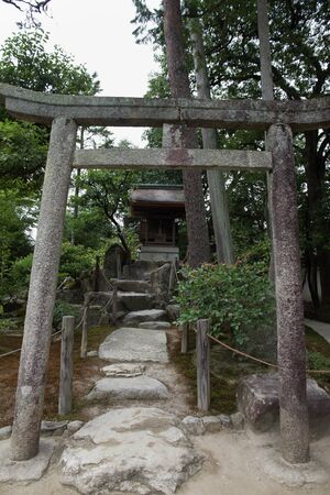 Torii - Kyoto - Japanの写真素材