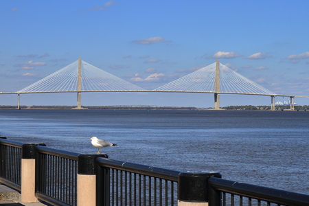 Arthur Ravenel Jr. Bridge - Charleston, SC - USAの写真素材