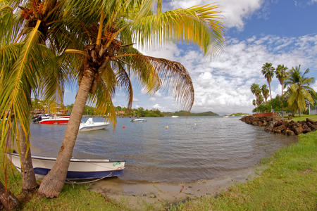 Fishermen boats in Trois Ilets harbor - Martinique - FWIの写真素材