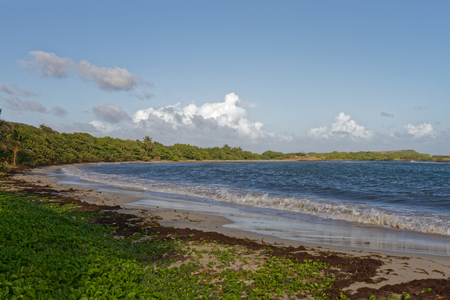 Anse Ã  Prunes - Near Salines beach - Sainte Anne - Martiniqueの写真素材