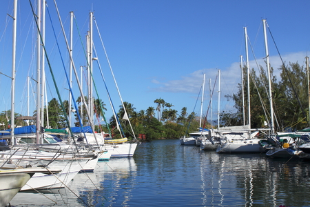 Pointe du Bout Marina - Trois-Ilets - Martiniqueの写真素材