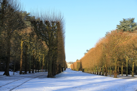 30 JAN 2019 - PARIS - France - Snow cover in Sceaux Park after storm Gabrielの写真素材
