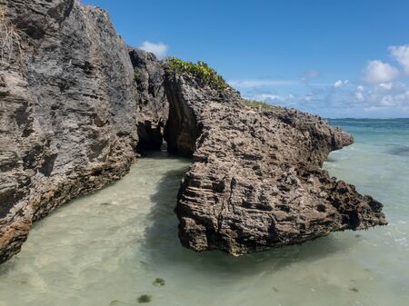 Sainte Anne, Martinique FWI - Pointe a Pomme in Cap Chevalier (near Anse Michel)の写真素材