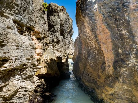 Sainte Anne, Martinique FWI - Pointe a Pomme in Cap Chevalier (near Anse Michel)の写真素材