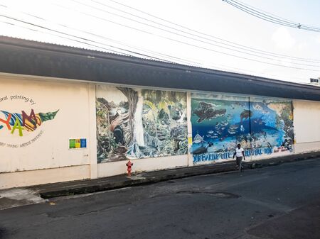 10 JAN 2020 - Kingstown, Saint Vincent and the Grenadines - Street wall paintingのeditorial素材