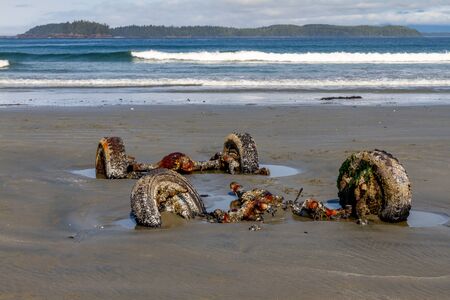 No Parking on the beach - Vancouver Island, British Columbia, Canadaの写真素材