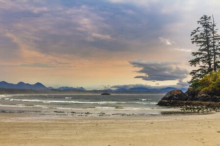 Tofino beach - Vancouver Island, British Columbia, Canadaの写真素材