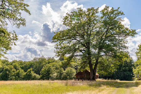 Barn in the Loire Valley Countryside - near Langeais - Franceの写真素材