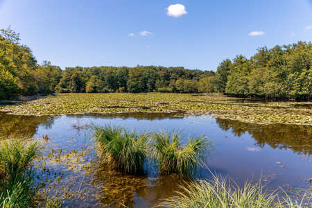 Romantic pond in the Loire Valley Countryside - near Langeais - Franceの写真素材