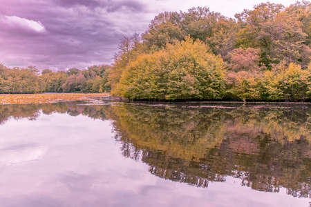 Romantic pond in the Loire Valley Countryside - near Langeais - Franceの写真素材