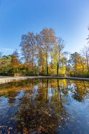Pond in Parc de Sceaux in autumn - Ile de France - Paris Region - Franceの写真素材