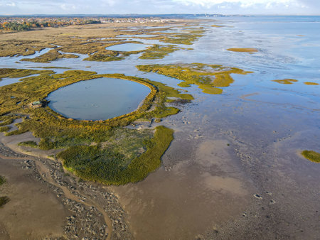 Arcachon bay shore in Gujan-Mestras, Aquitaine, Franceの写真素材