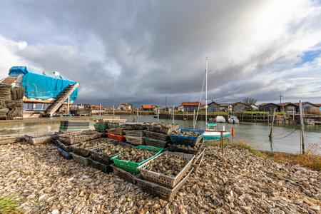 Oyster cabins in Larros Harbor in Arcachon Bay - Gujan-Mestras, Aquitaine, Franceの写真素材