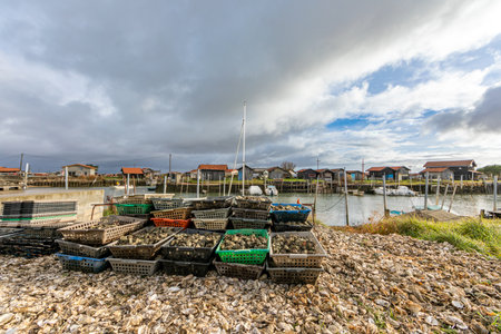 Oyster cabins in Larros Harbor in Arcachon Bay - Gujan-Mestras, Aquitaine, Franceの写真素材