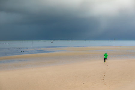 Beach of Larros in Arcachon Bay - Gujan-Mestras, Aquitaine, Franceの写真素材