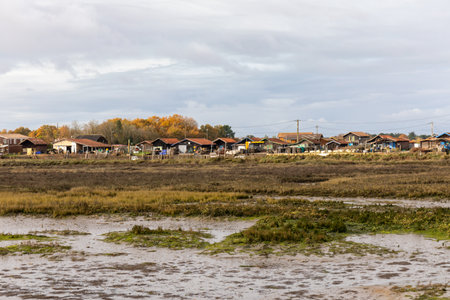 Gujan Harbor in Arcachon Bay - Gujan-Mestras, Aquitaine, Franceの写真素材