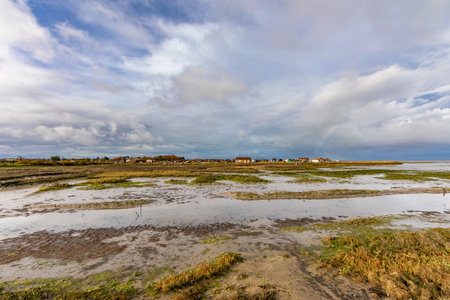 Oyster park in Larros Harbor in Arcachon Bay - Gujan-Mestras, Aquitaine, Franceの写真素材