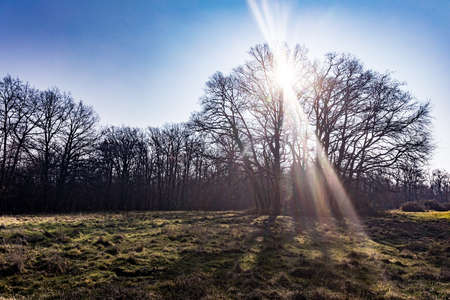 Forest in the Loire Valley Countryside - near Langeais - Franceの写真素材