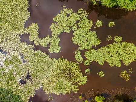 Aerial view of a lily pond in Loire Valley, Franceの写真素材