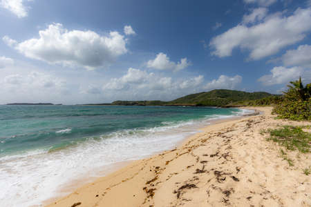Le Marin, Martinique, FWI - Beach of Cape Macreの写真素材