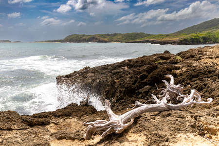 Le Marin, Martinique, FWI - Beach of Cape Macreの写真素材