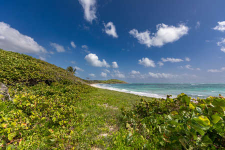 Le Marin, Martinique, FWI - Beach of Cape Macreの写真素材