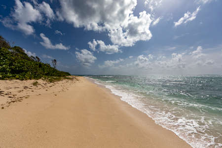 Le Marin, Martinique, FWI - Beach of Cape Macreの写真素材