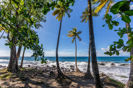 Anse Couleuvre beach - Le Precheur, Martinique French Antillesの写真素材