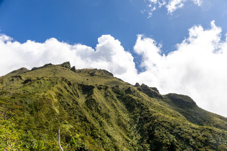 Hike to the top of Mount Pelee, Martinique, French Antillesの写真素材