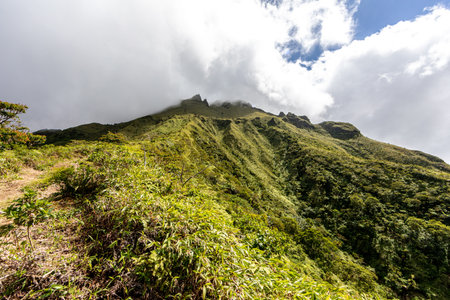Hike to the top of Mount Pelee, Martinique, French Antillesの写真素材