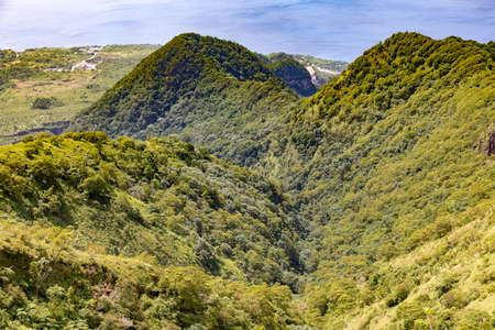 Hike to the top of Mount Pelee, Martinique, French Antillesの写真素材