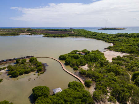 Salines lagoon, Sainte-Anne, Martinique, French Antillesの写真素材