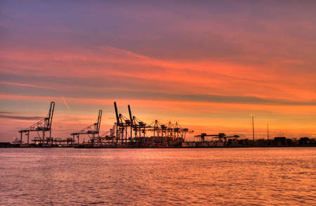 Port of Rotterdamの写真素材
