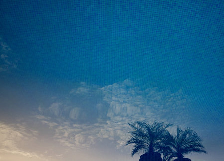 Reflection of plants in the waterの写真素材