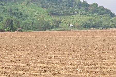 Cultivated brown dried fieldの写真素材