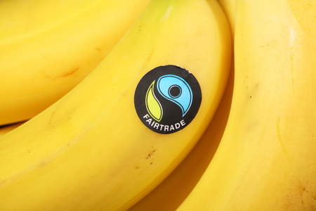 BRACKNELL, ENGLAND - June 02, 2014  Imported bananas bearing the Fairtrade Foundation sticker  Founded in 1992 the organisation promotes global trade with marginalised workers and their communitiesのeditorial素材