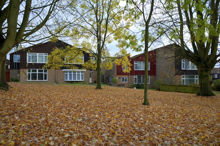 Bracknell,England - November 09, 2016: Semi detached homes on a housing estate in Bracknell, England with Autumn leaf fall under the treesのeditorial素材